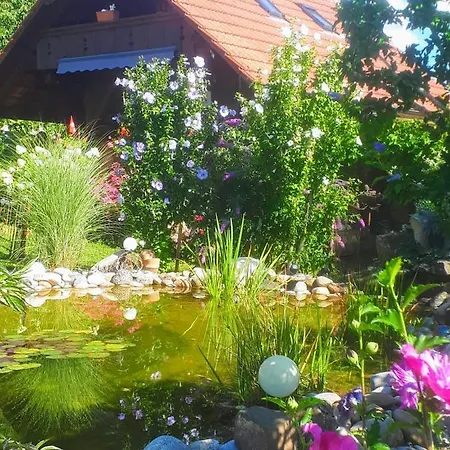 Appartamento Hadassa Mutzli