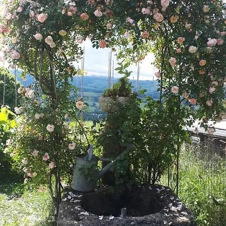 Appartamento Hadassa Mutzli *