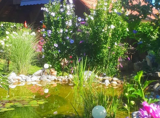 Apartament Hadassa Mutzli