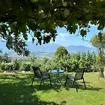 Hadassa Mutzli Daire Steffisburg